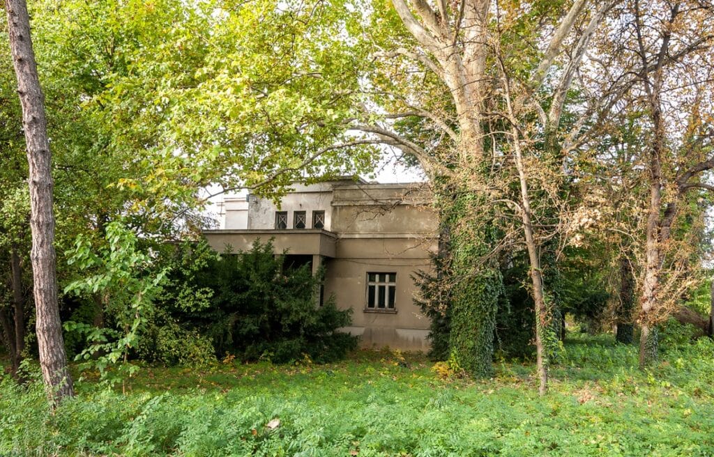 house overgrown with trees