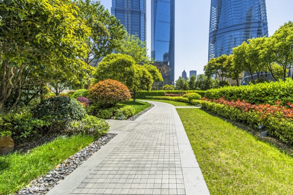 Beautiful park at a sunny day